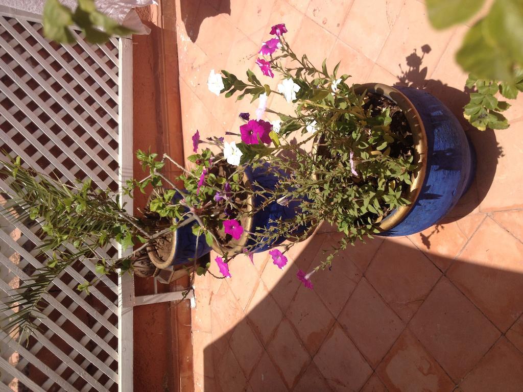 Riad Dar Saba Marrakesh Habitación foto